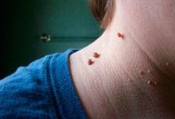 large_Untitled-1 (1)