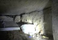 large_Untitled-1 (3)