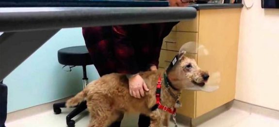 large_Untitled-1 (6)