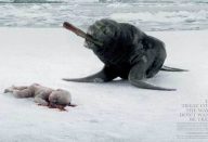 large_Untitled-1-Recovered