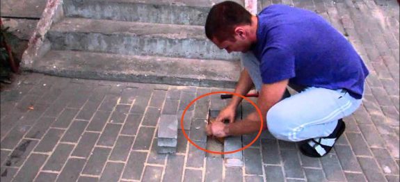 large_cachorro-enterrado