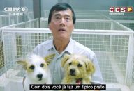 large_chones-prato-cachorro