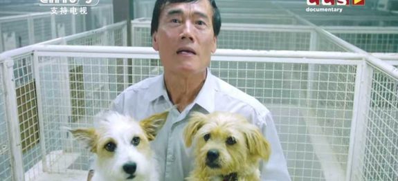 large_chones-prato-cachorro