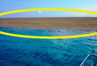 large_ilha-surge-capa