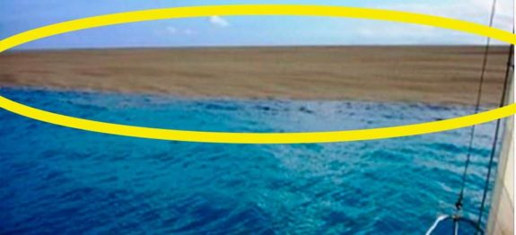 large_ilha-surge-capa