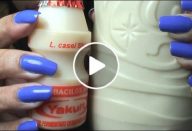 yakult_caseiro_-_novo