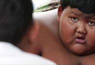 0swseyo8u8d25ivvb2cj0oqgg