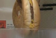 hamburguer