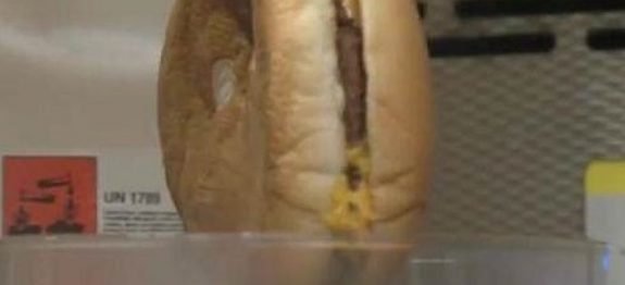 hamburguer