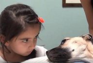 Ela-olha-nos-olhos-de-um-cão-a-morrer.-Segundos-depois-Um-milagre…