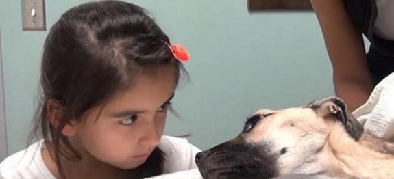 Ela-olha-nos-olhos-de-um-cão-a-morrer.-Segundos-depois-Um-milagre…