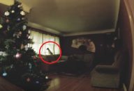 Este-cachorro-aguarda-que-os-donos-saiam-de-casa.-O-que-faz-a-seguir-é-tão-engraçado