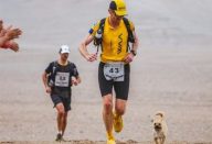 cao-corrida-760×397