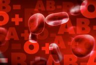 2014-08-16_06-26-21_1