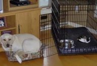 ao-menos-esta-nao-tem-porta-760×500