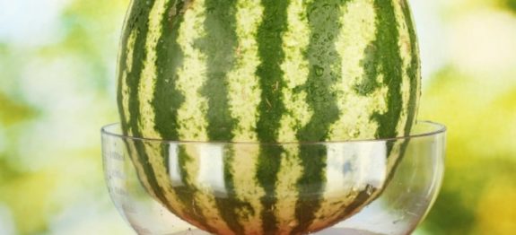 large_tamanho