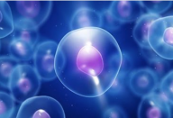 jejum_novo_-_valendo