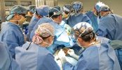 large_cirurgia-para-remover-rabo