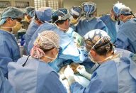 large_cirurgia-para-remover-rabo