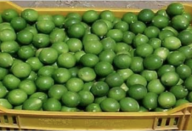 limao_-_farinha-430×285