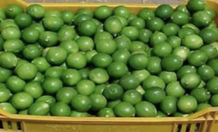 limao_-_farinha-430×285