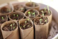 rolopapelhigienico4-760×500