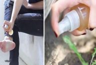 vinagre-640×357-Copy-640×381