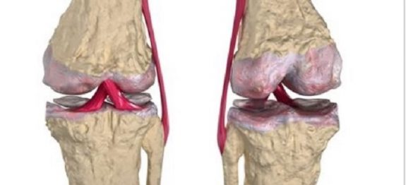 2b30086907789c8b1a0fe4a8b2920d4a