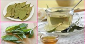 91845ad7529bde9d7e1baaa345dd2d4a