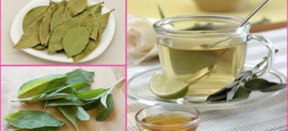 91845ad7529bde9d7e1baaa345dd2d4a