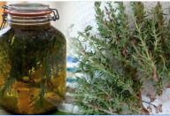 alcool_de_alecrim_-_novo