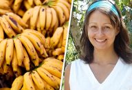 banana_-_experiencia_-_12_dias