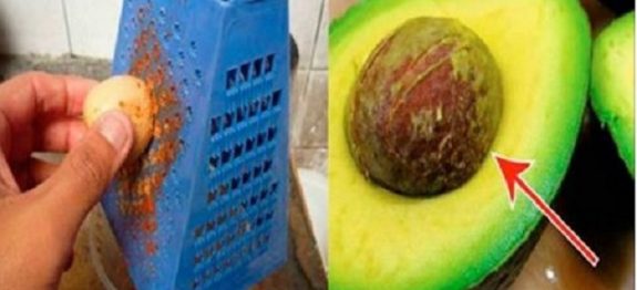 caroco_de_abacate_-_novo_-_julho_16_ed