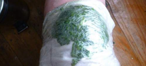 repolho_-_dor_nos_joelhos