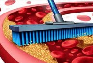 arterias_-_colesterol_-_novo