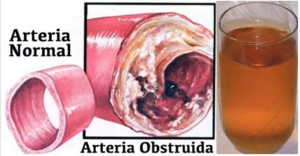 dc70aa476ff96529f278c8901dbb9e4f