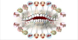 dentes_e_orgaos