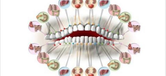 dentes_e_orgaos