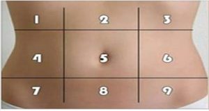 dor_-_barriga