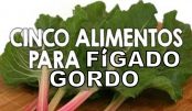 figado_gordo_-_novo