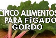 figado_gordo_-_novo