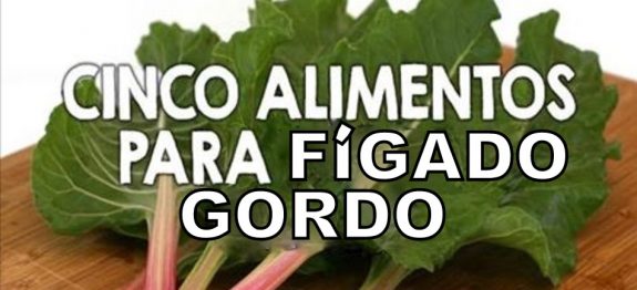 figado_gordo_-_novo