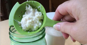 kefir_-_novo_0