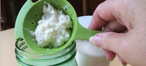 kefir_-_novo_0