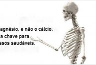 magnesio_e_ossos_-_novo_ed