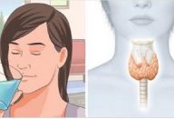 tireoide_-_metabolismo_-_novo_-_edit