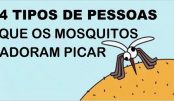 16deea483e3ac3df3056ebca604afdf2.jpg