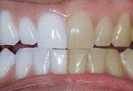 3c7c1dc5854574f397d94b995a95e619 (1)