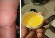 65f8e605e2b73ce601e6251b192c1042