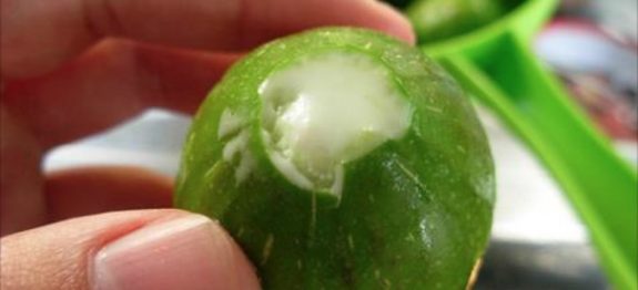 figo_-_verrugas